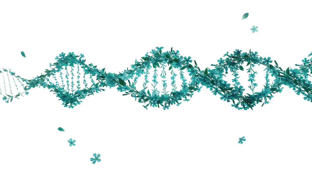 Silene platform preview